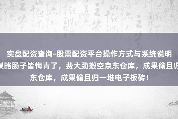 实盘配资查询-股票配资平台操作方式与系统说明 巴黎那帮毛贼谋略肠子皆悔青了，费大劲搬空京东仓库，成果偷且归一堆电子板砖！