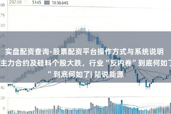 实盘配资查询-股票配资平台操作方式与系统说明 多晶硅期货主力合约及硅料个股大跌，行业“反内卷”到底何如了| 陆说能源
