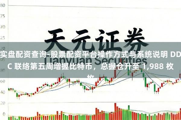 实盘配资查询-股票配资平台操作方式与系统说明 DDC 联络第五周增握比特币，总握仓升至 1,988 枚